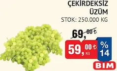 ÇEKİRDEKSİZ ÜZÜM KG indirimli fiyat ÇEKİRDEKSİZ ÜZÜM KG fiyat ve kampanya bilgisi
